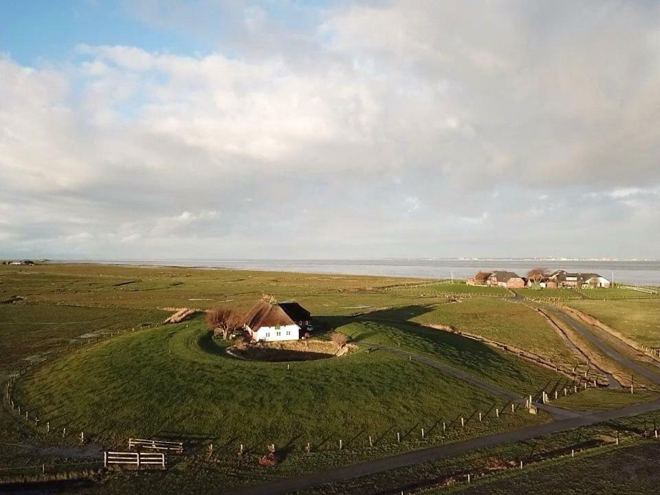 Kapitaenshaus Meerblick * Langeness